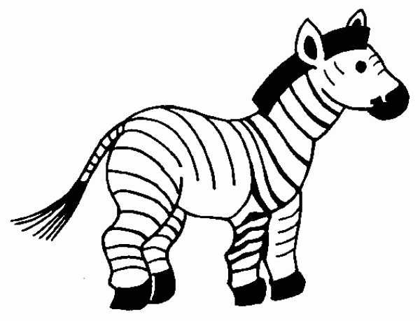 Zebra simple strokes