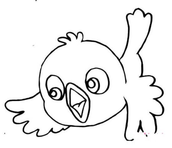 Cute bird simple drawing pictures