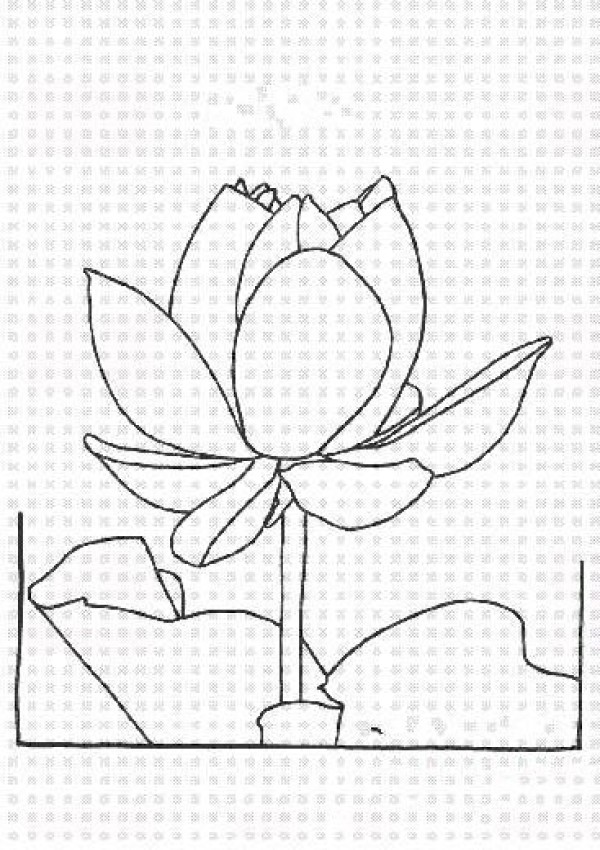 Hand drawn lotus simple picture