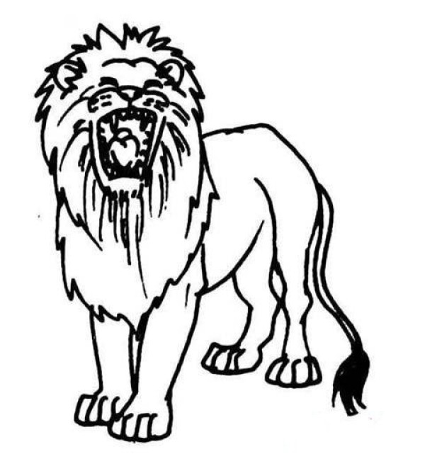 Primary school students' simple drawing pictures of lions roaring