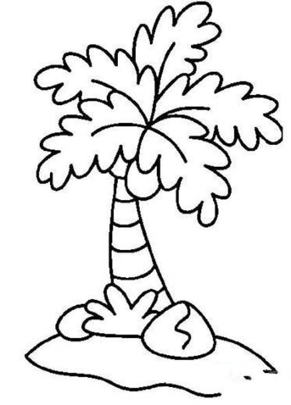 Childrens simple drawing of coconut tree