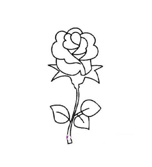 Hand drawn rose flower simple strokes