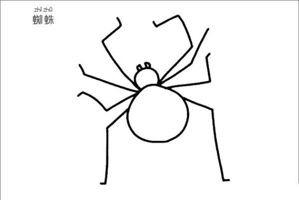 Spider simple drawing picture