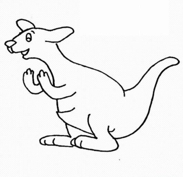 Childrens simple drawing pictures of kangaroos