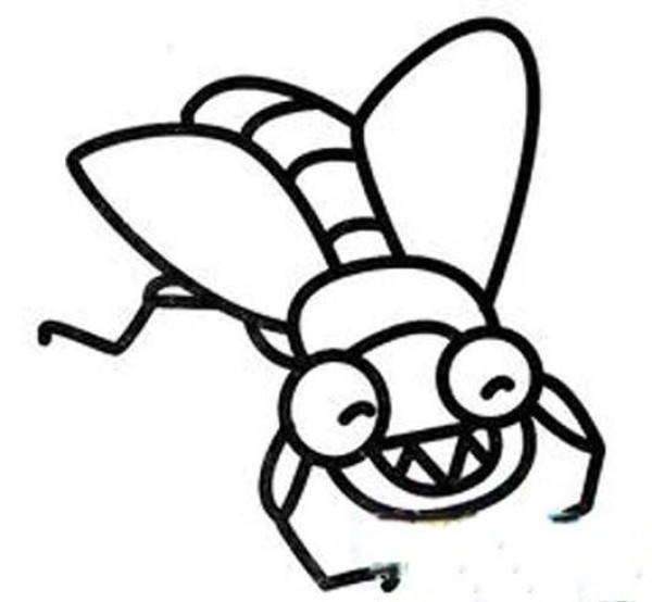 Cartoon simple picture of fly for primary school students