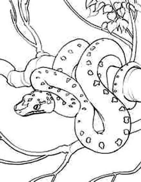 Simple drawing of wild snake on the tree