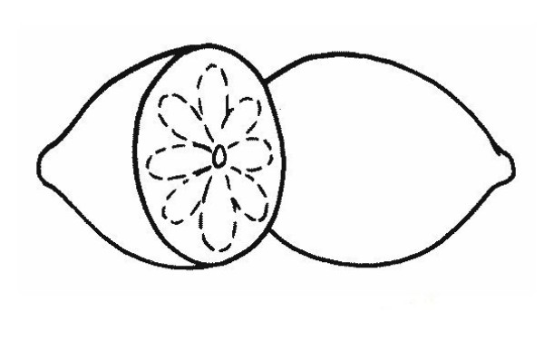 Lemon simple drawing picture