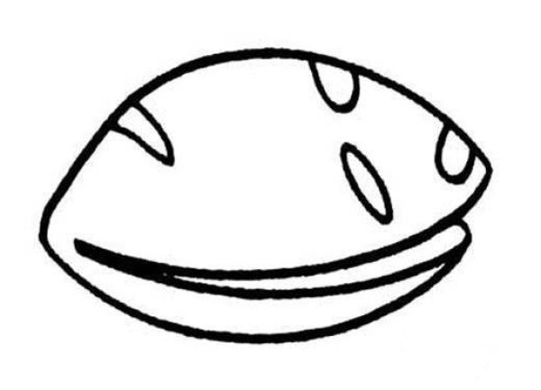 Simple picture of shell with open mouth