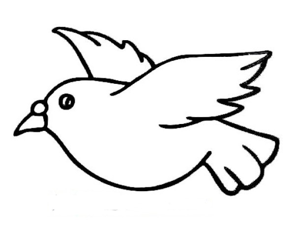 Simple drawing of peace dove