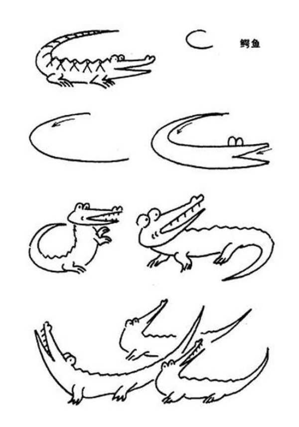 A collection of simple drawing pictures of crocodiles in various postures