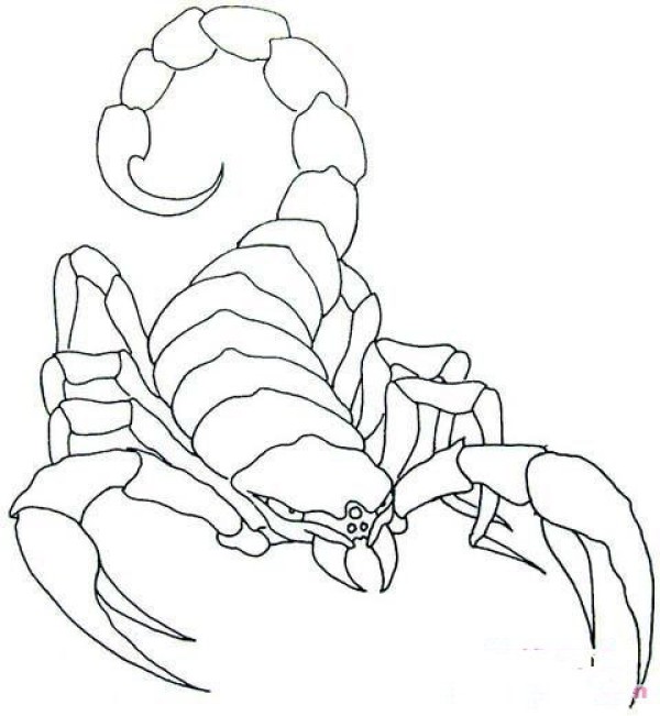 Primary school students' simple drawings of ferocious scorpions