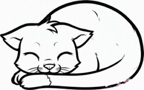 Cat simple drawing pictures