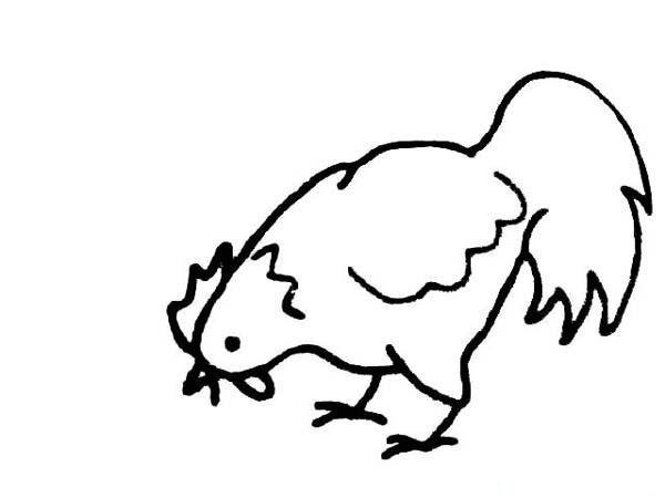 Simple drawing of hen pecking at rice