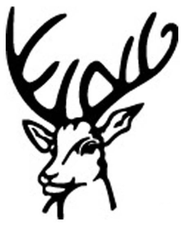 Simple strokes of deer head