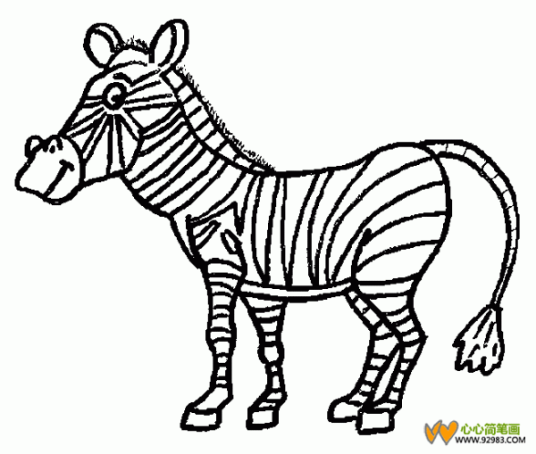 Zebra simple strokes