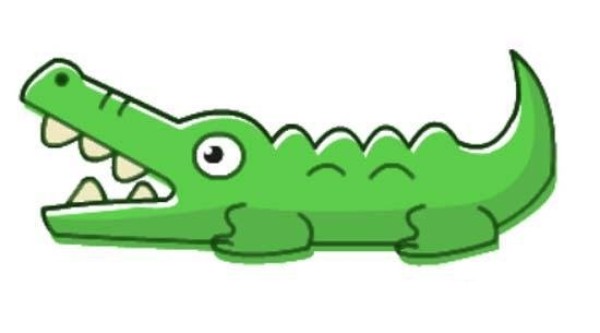 Colored crocodile simple drawing picture