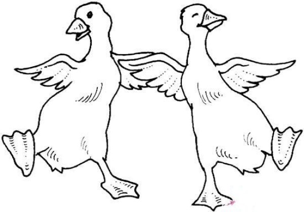 Simple drawing of two dancing ducks