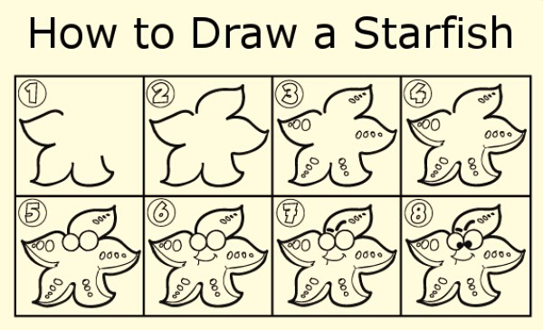 How to draw a starfish