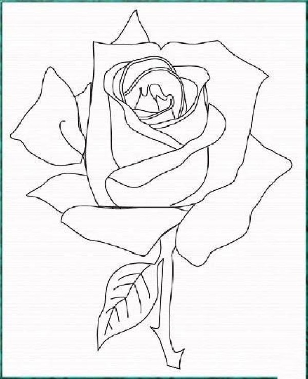 Simple strokes of roses