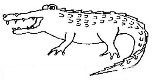 Simple drawing picture of a ferocious big crocodile