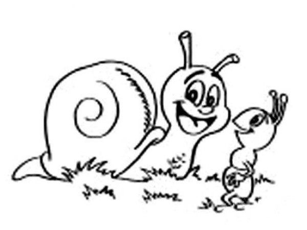 A complete collection of simple cartoon drawings for children: snail and ant