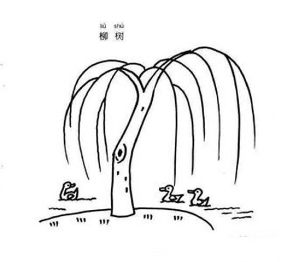 Simple drawing pictures of weeping willows by the river