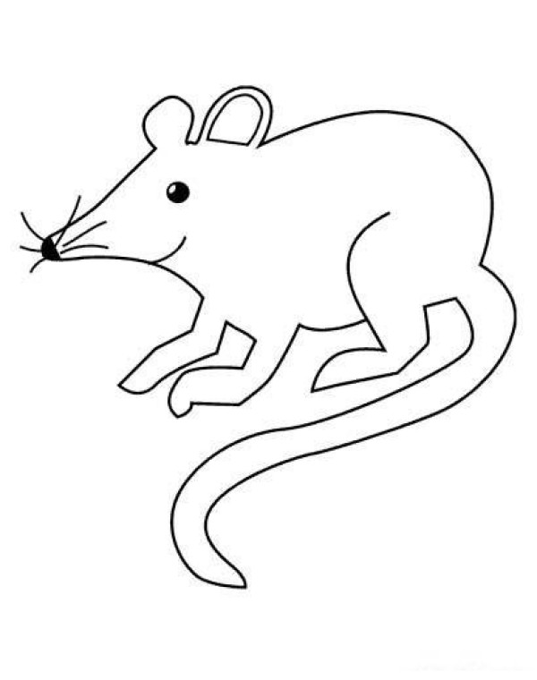 Animal simple drawing: mouse