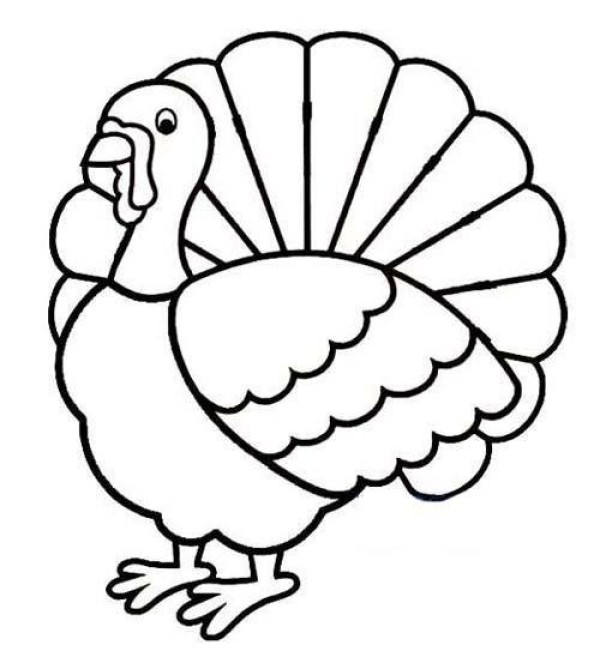 Simple animal drawing pictures for children: Turkey