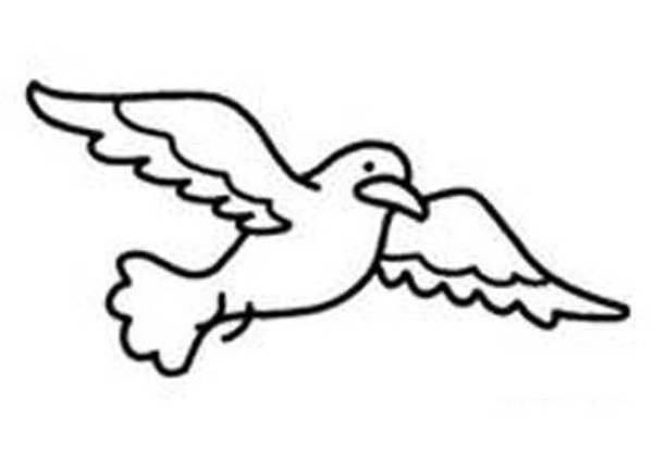 Simple drawing picture of flying seagull