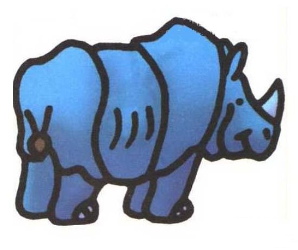 Simple drawing pictures of rhinoceros with color