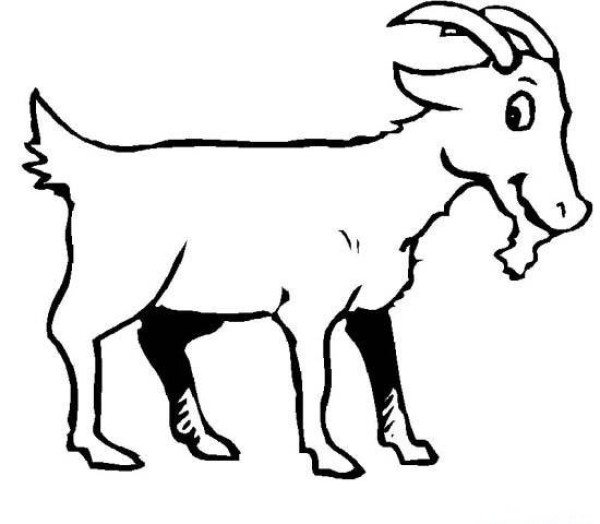 Simple drawing of goat with long horns