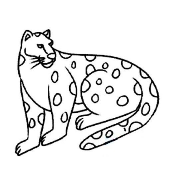 Leopard simple drawing pictures