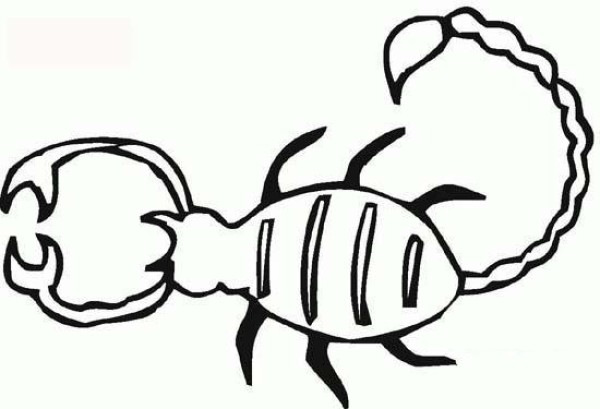 Animal simple drawing pictures: scorpion