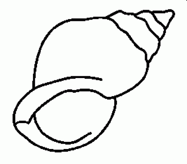 Childrens simple drawing of conch