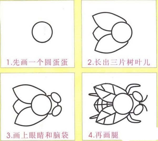 Steps to draw a fly in simple strokes: How to draw a fly