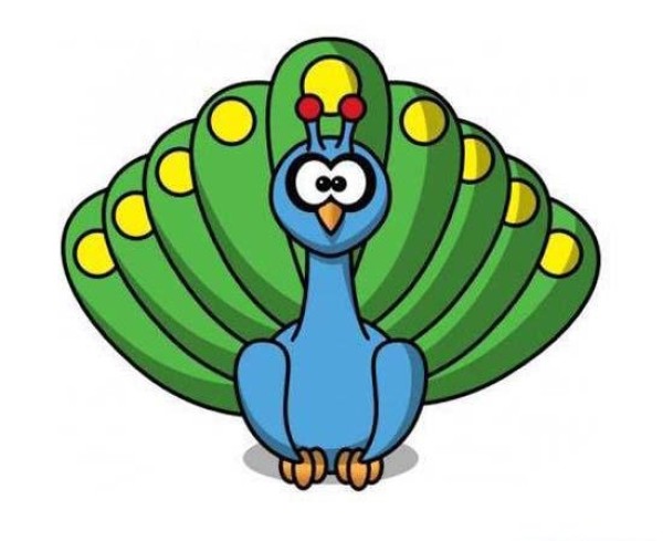 Cartoon peacock simple drawing picture with color