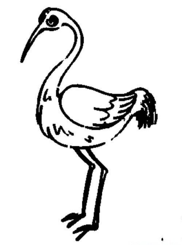 Childrens simple animal drawing pictures: red-crowned crane