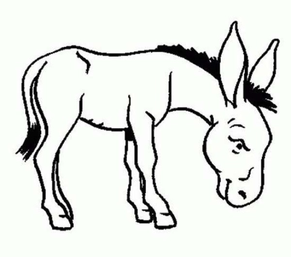 Complete collection of simple animal drawings for children: Donkey