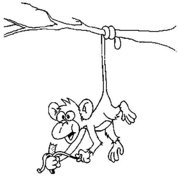 Simple strokes of monkey hanging upside down