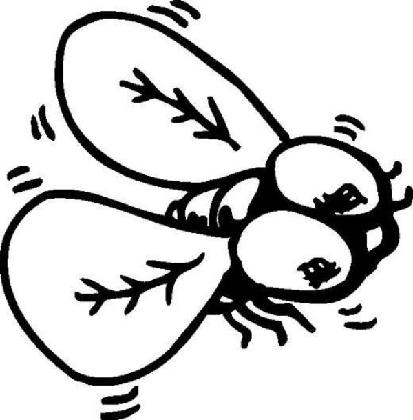 Childrens simple drawing pictures of insects: flies