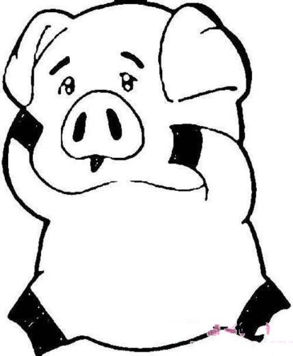 Cartoon pig simple strokes