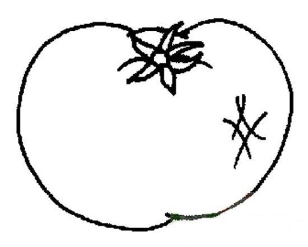 Childrens simple drawing of tomatoes