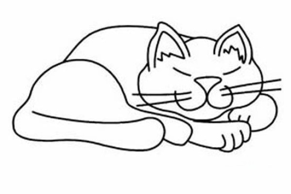 Childrens simple drawing of cat: cat sleeping late