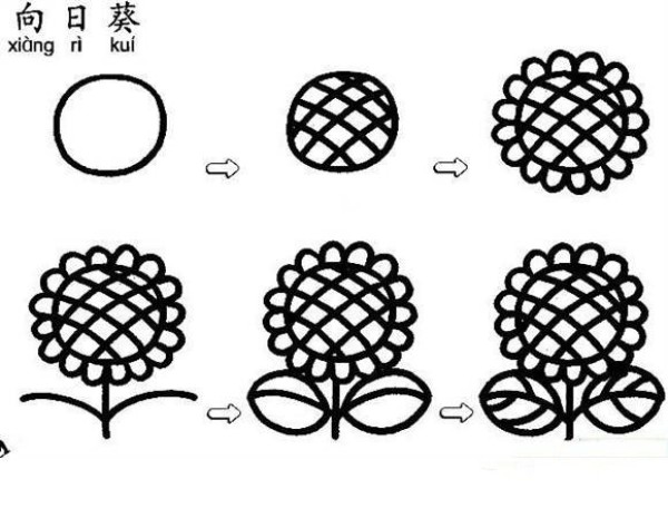 Sunflower simple drawing tutorial