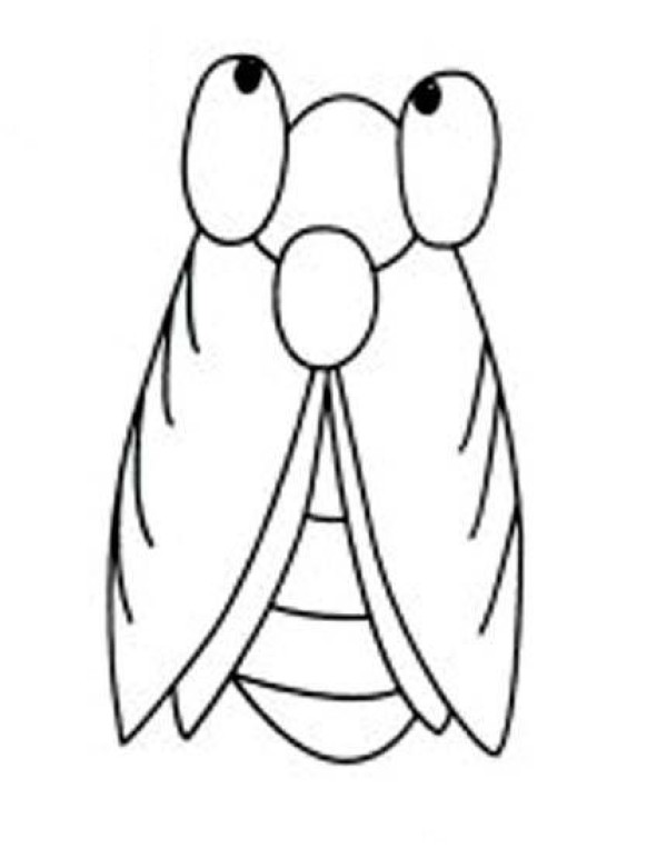 Childrens simple drawing of cicada