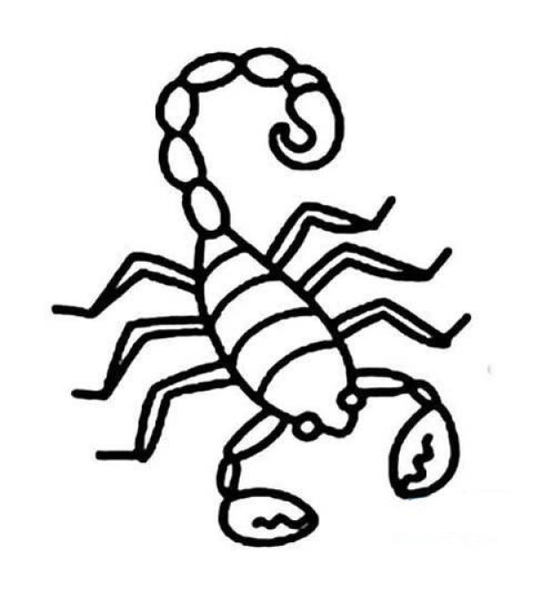 Simple drawing pictures of poisonous scorpions