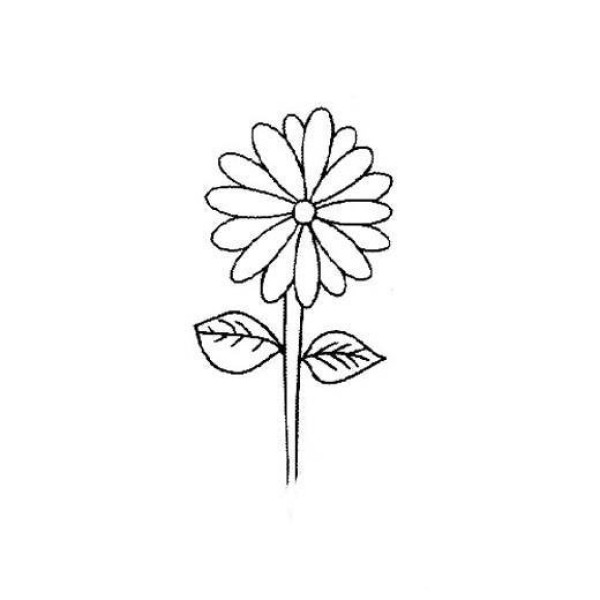 Childrens simple drawing of chrysanthemum