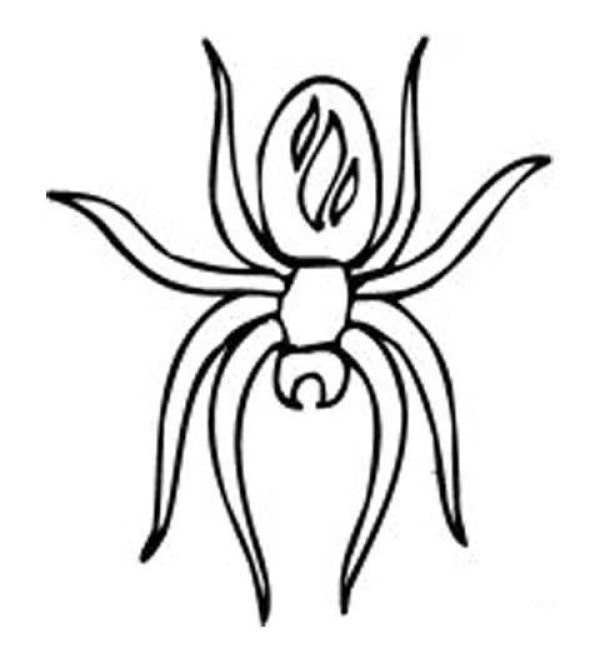 Kindergarten spider simple drawing picture collection