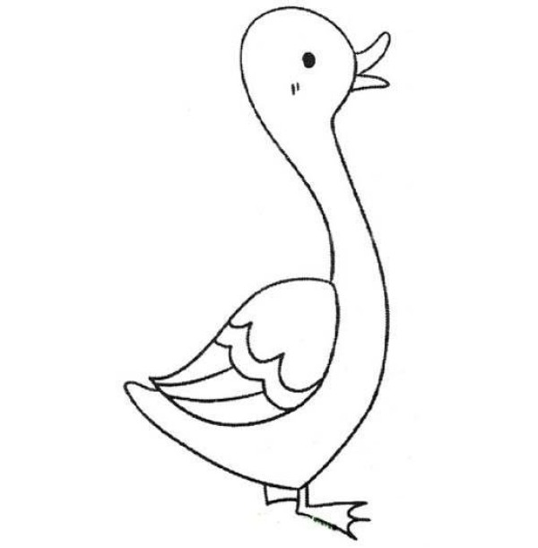 Cute and beautiful duck simple drawing