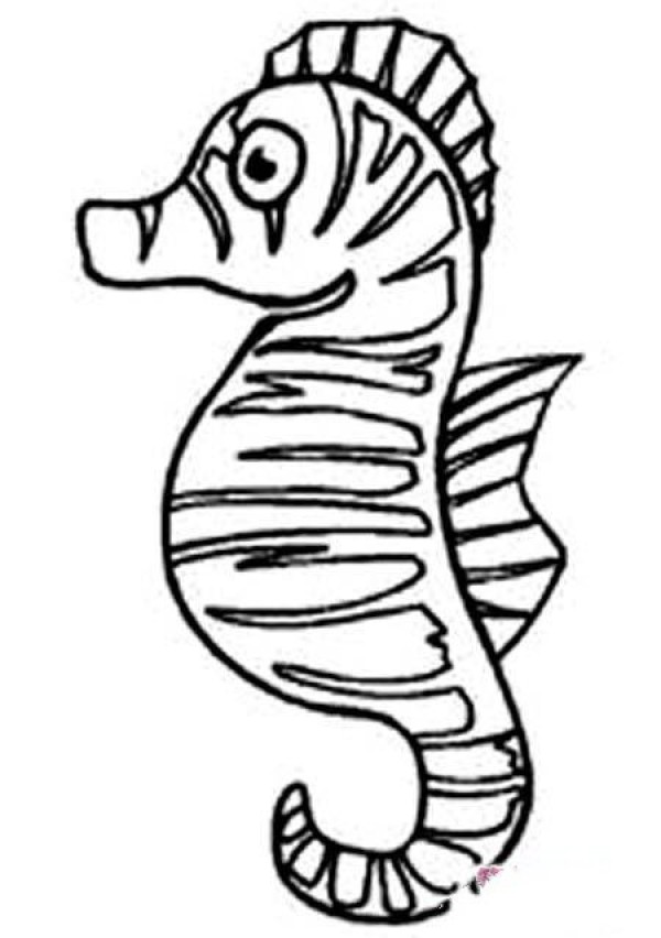 Primary school students' simple drawings of seahorses